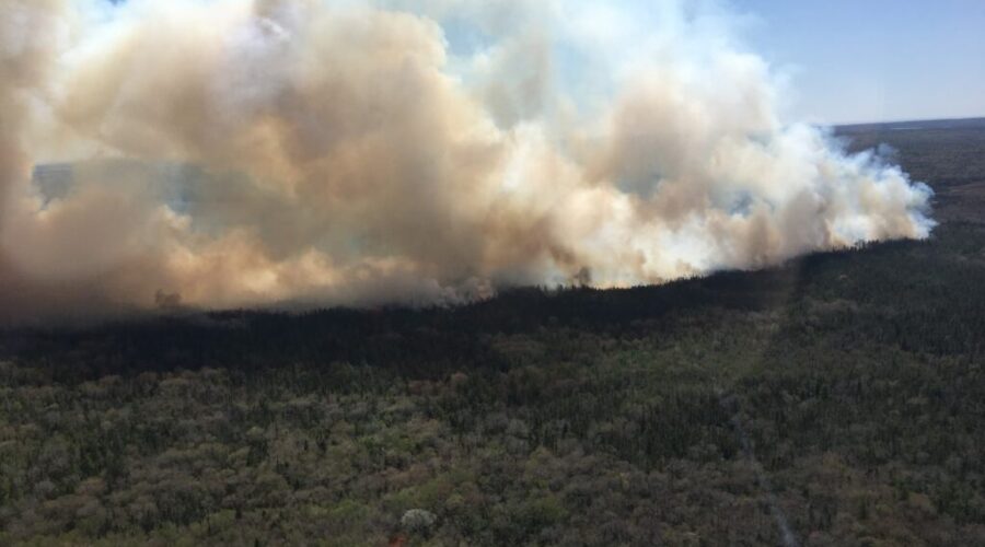 UPDATE: Local state of emergency issued by Shelburne County as forest fire continues to burn