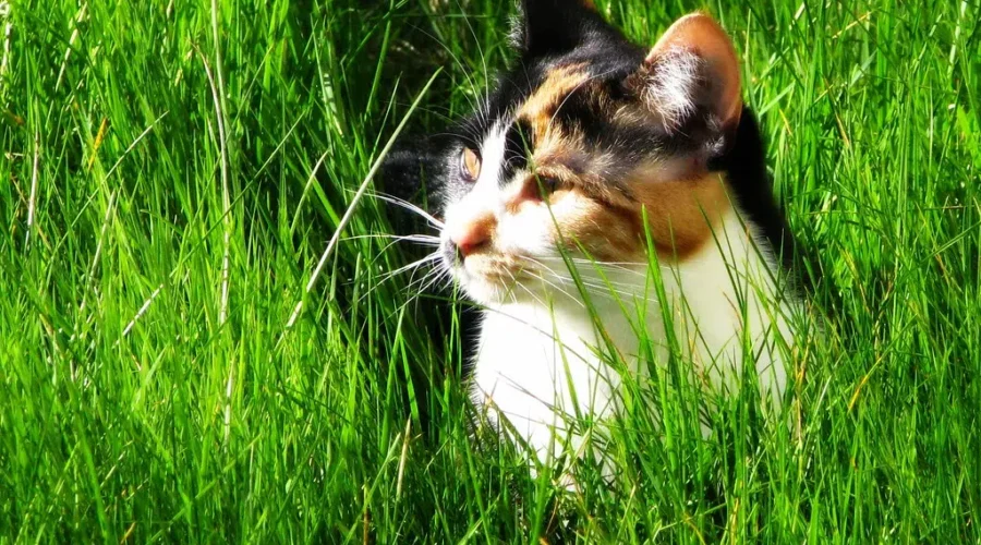 I Guess We Needed It