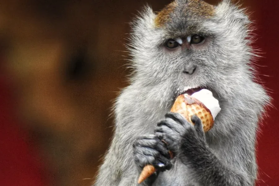 The Worst Ice Cream Flavour