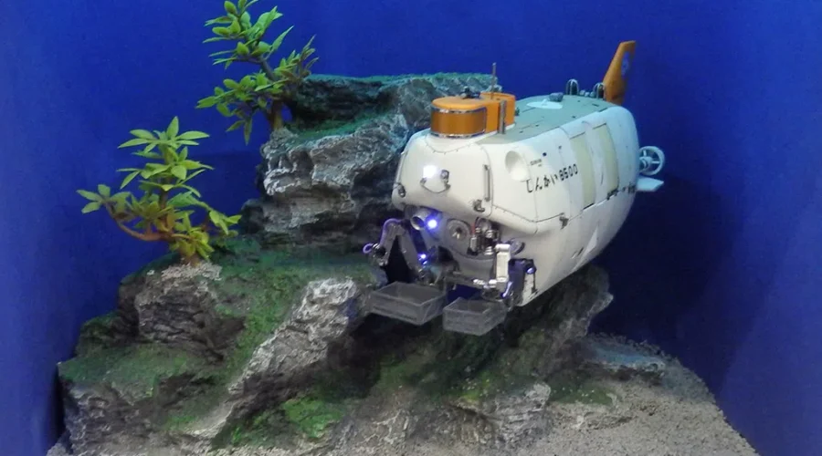 The Ultra Rich and Risky Behaviour