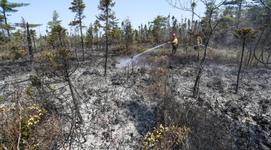 Evacuation orders lifted for Shelburne County