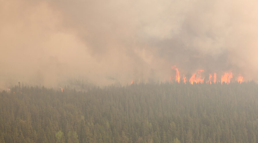 Smoky Air Could Become Routine Threat