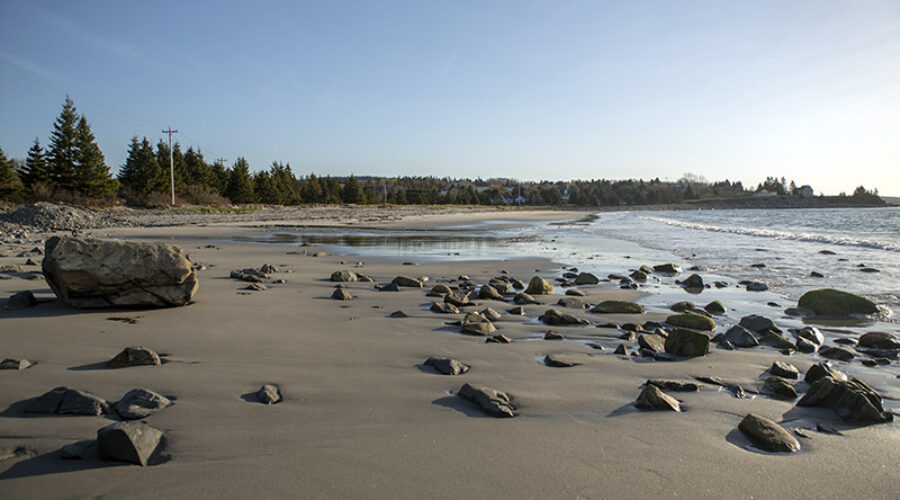 Queensland and Bayswater beaches closed over bacteria concerns