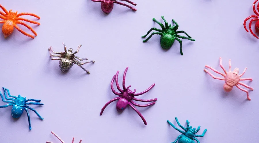 The Smell Of A Picture