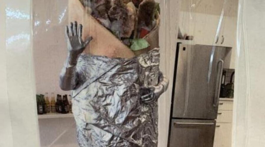 Do I hear $1,050? Donair costume being auctioned has Nova Scotians talking