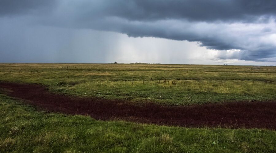 Severe Thunderstorm Watch in effect