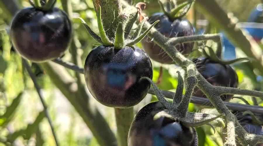 The Surprise of Not Reading Labels