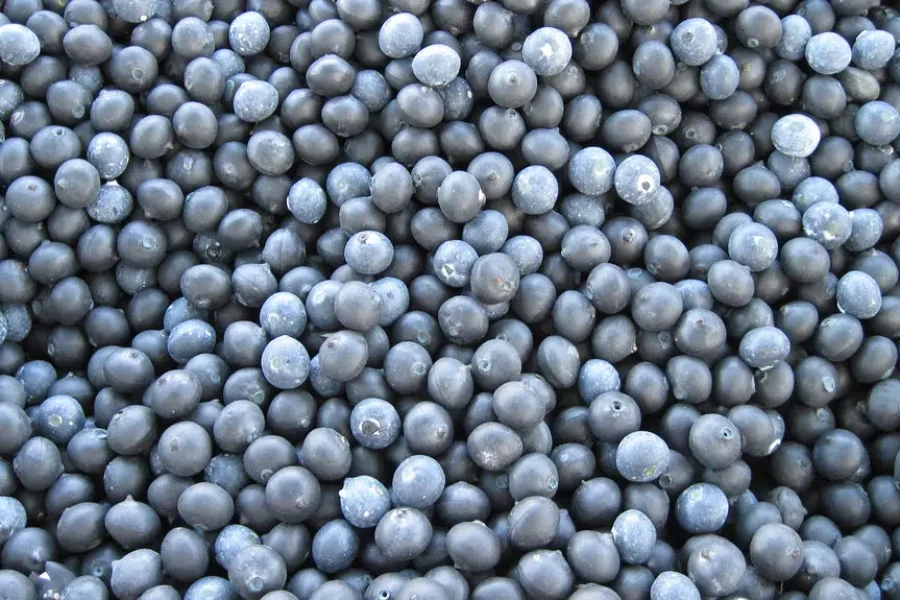 It’s Blueberry Season