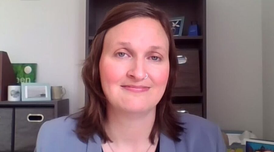 More speed needed to protect Chignecto Isthmus: N.B. MLA