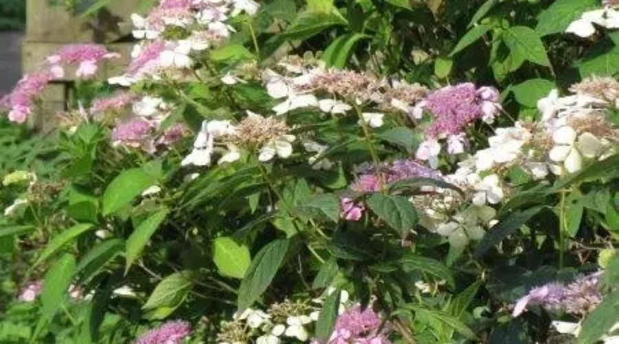 Is This Going Too Far?