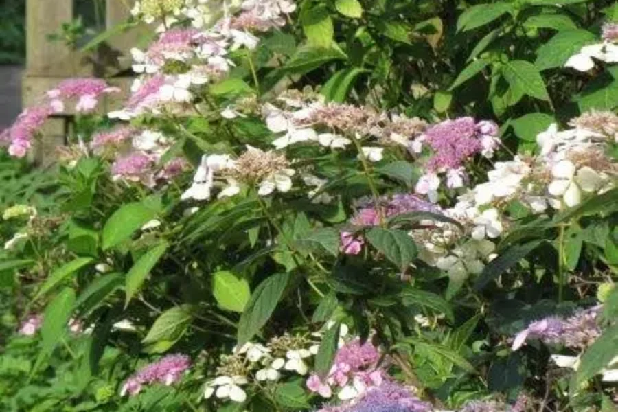 Is This Going Too Far?