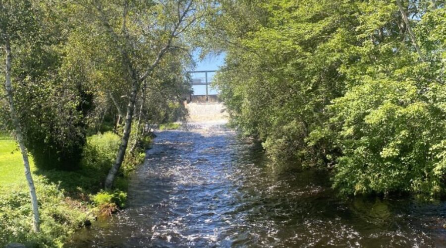 Bridgewater PSC removes stop logs from Hebb Dam ahead of anticipated rainfall