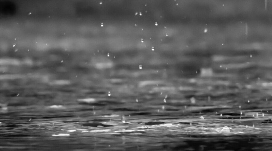 More rain in the forecast Friday