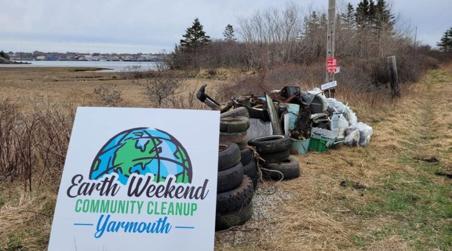 Baccaro Point shoreline cleanup this weekend