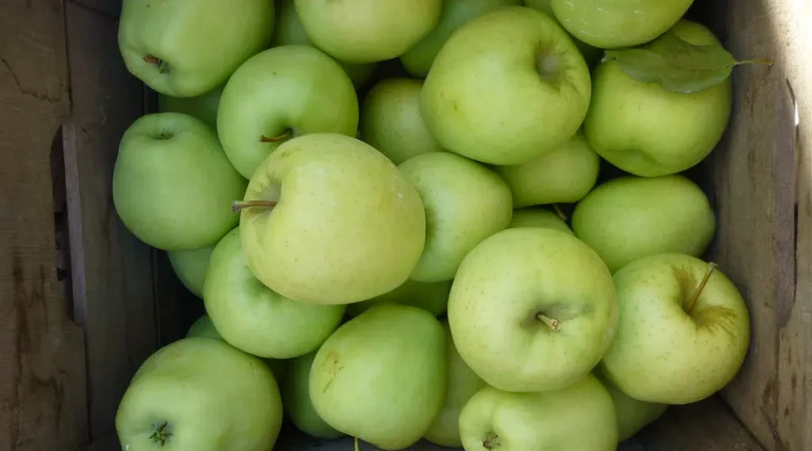 New Varieties Of Old Favourites