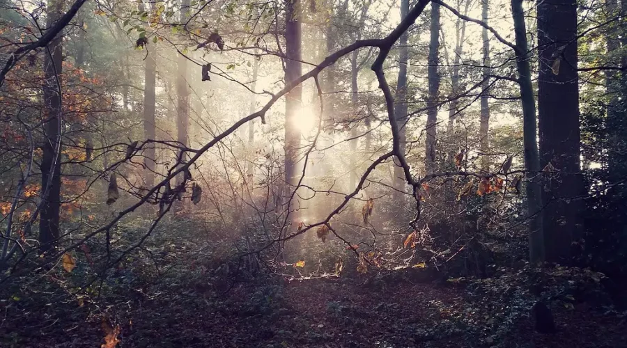 When’s Your Favourite?