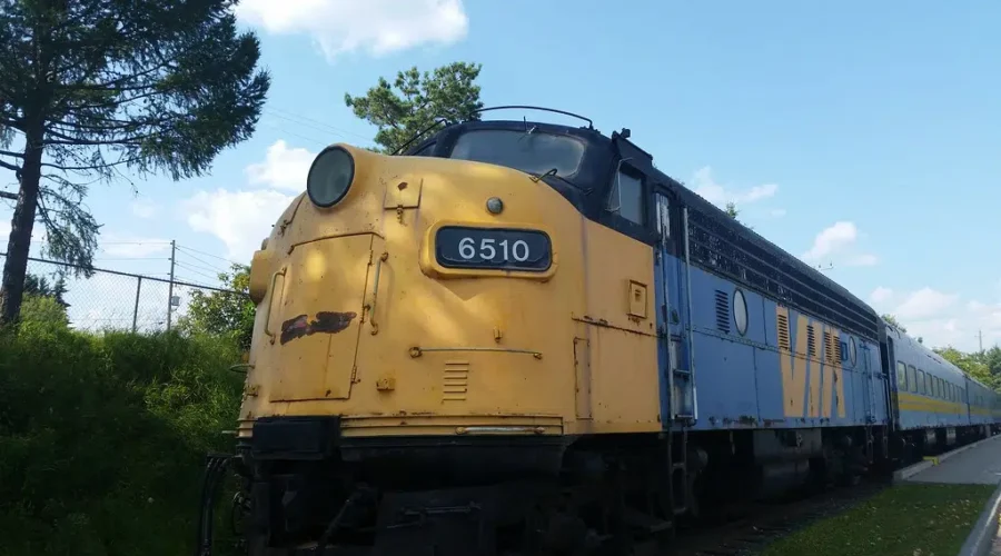 Remembering The Train