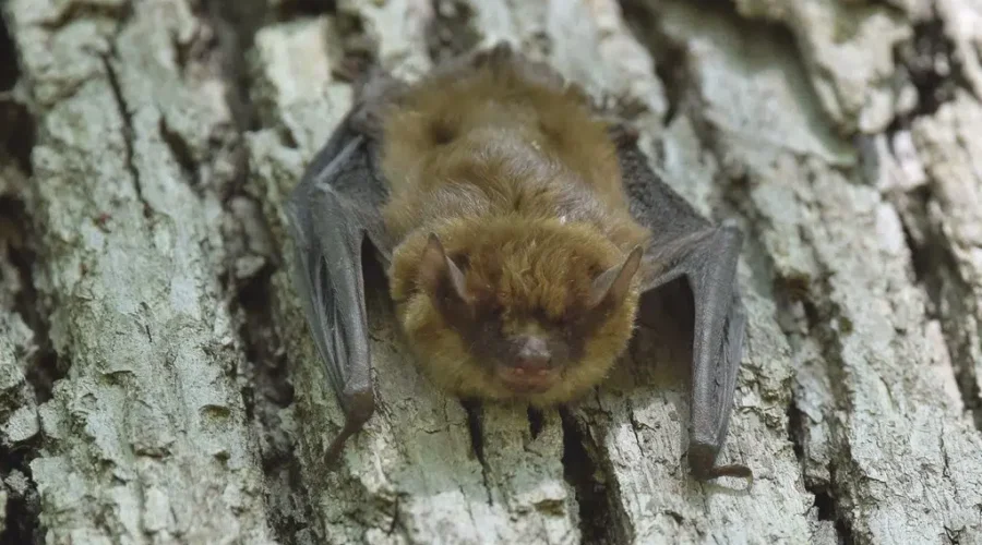 Hopefully The First of Many