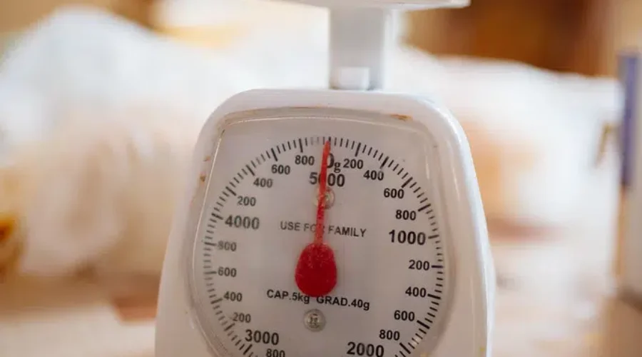 Time To Weigh The Groceries?