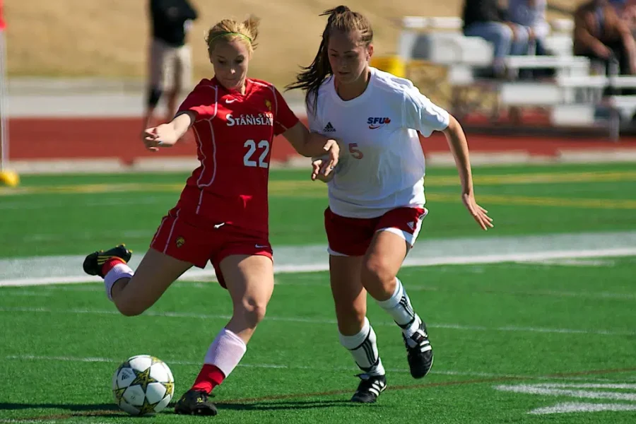 A New Hockey League Coming In January – Will You Watch?