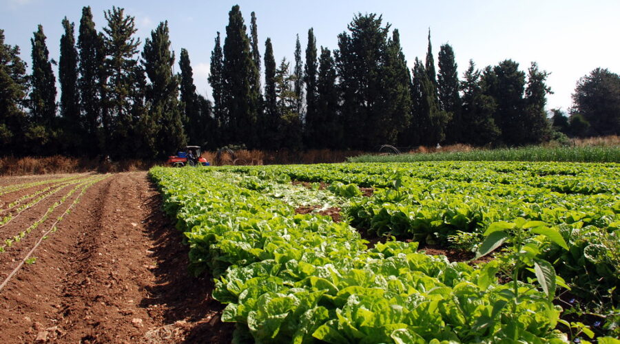 Farmers can still apply for income assistance through province after weather events – program deadline extended