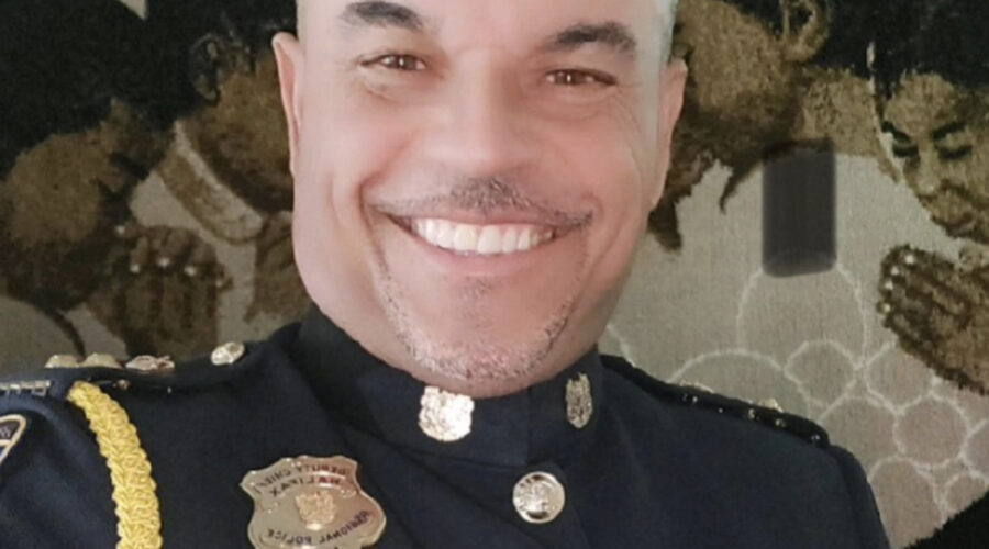 Halifax names interim police chief