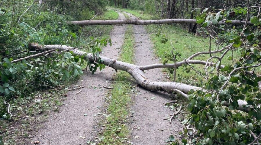 Local trails receive portion of $5M funding for trails damaged by heavy rain