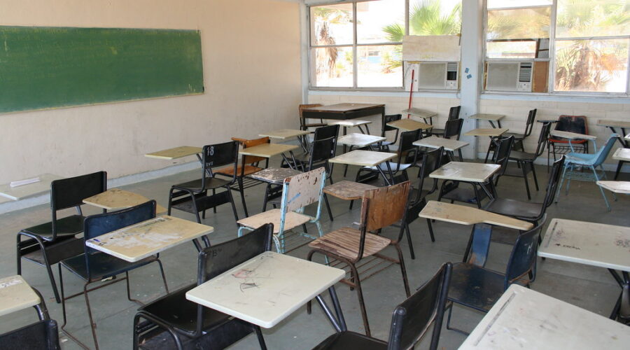 Two new B.Ed programs at CBU to quicken pace of getting teachers in classrooms