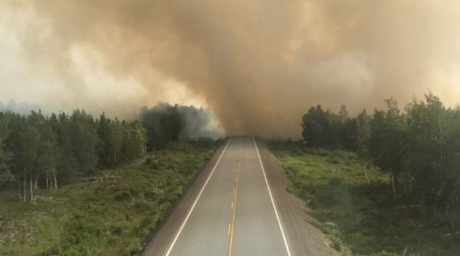 Disaster Financial Assistance Program to help uninsurable losses from wildfires