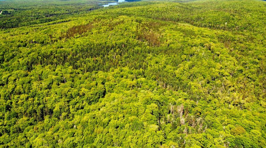 Cains Mountain Nature Reserve expands