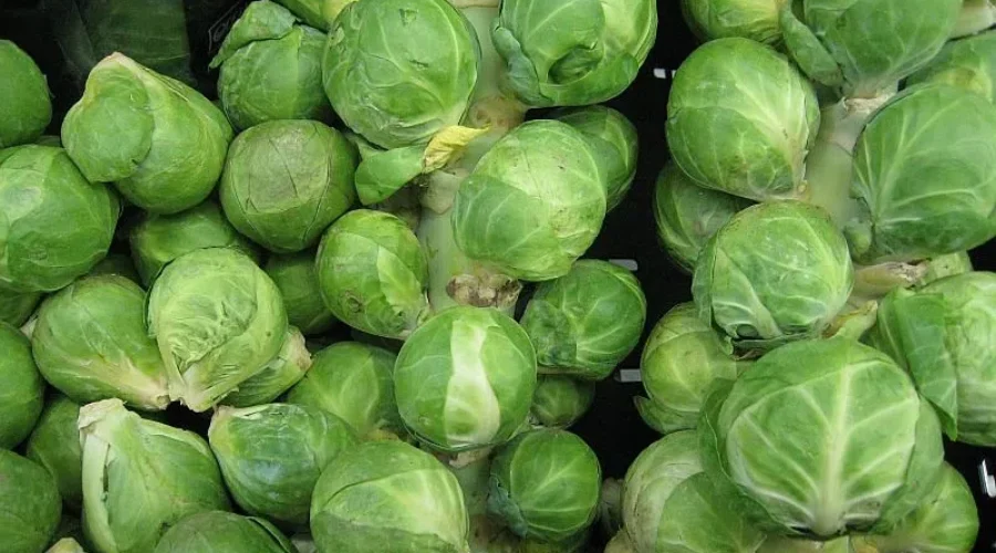 Least Favourite Christmas Treat?