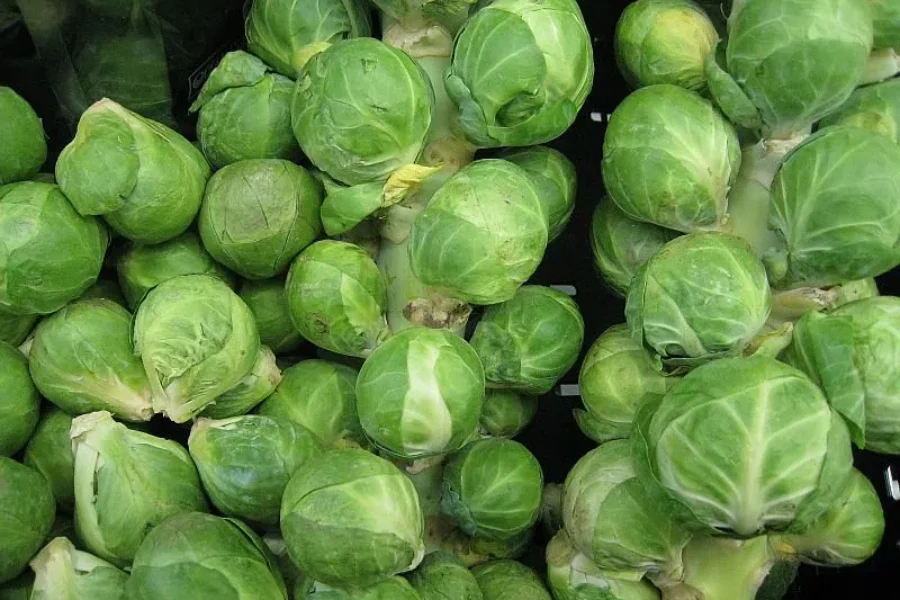 Least Favourite Christmas Treat?