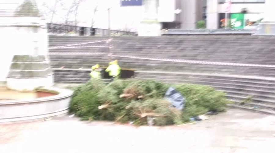 When To Take Down Christmas Tree?