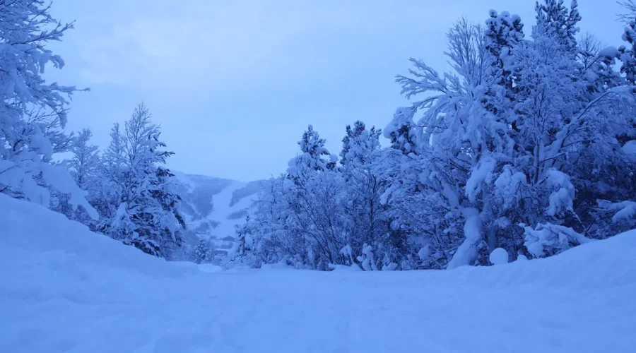 Not Looking Very Snowy