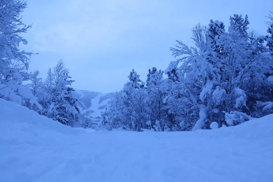 Not Looking Very Snowy