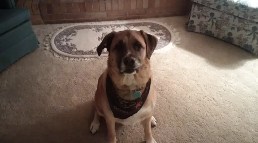 Just When You Think You’re Done