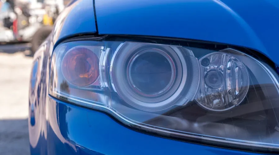 Caught In The Headlights