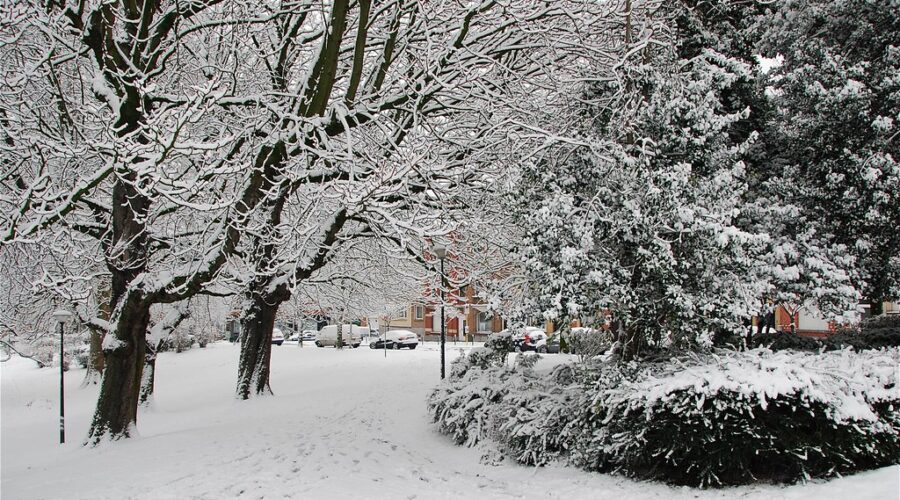 Southern NS to receive up to 20 centimetres of snow on Sunday