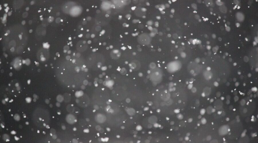 Up to 10 cm of snow projected for southwestern N.S. Friday