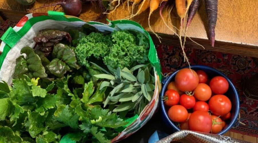 Applications for food program quadruples