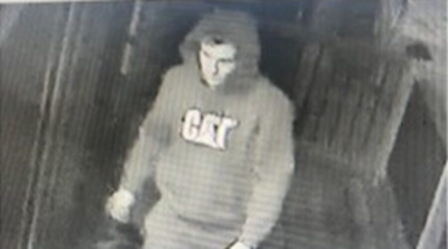 Police seeking suspect in western N.S. thefts