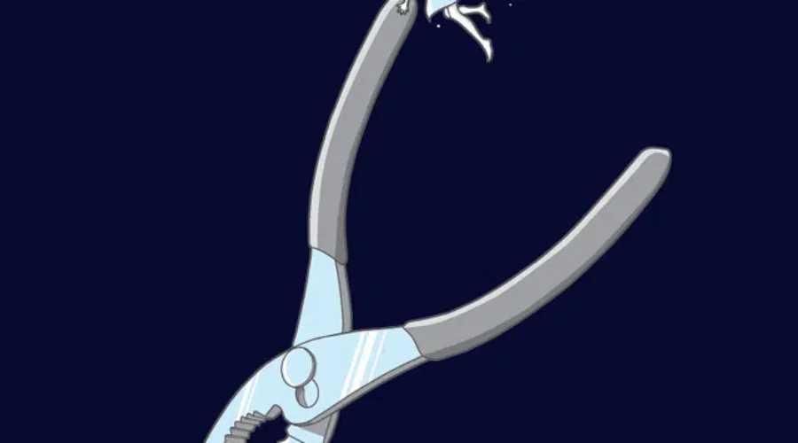 One Of Your Newer Fairies