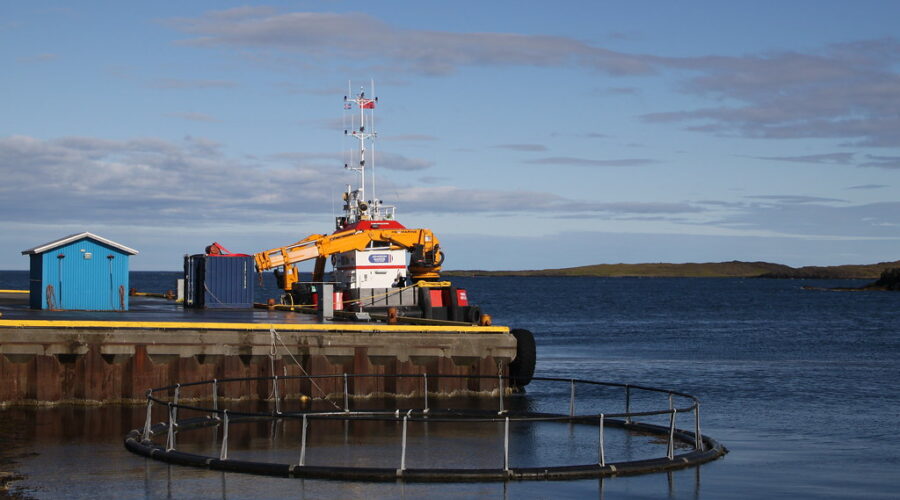 Liverpool Bay aquaculture hearing delayed