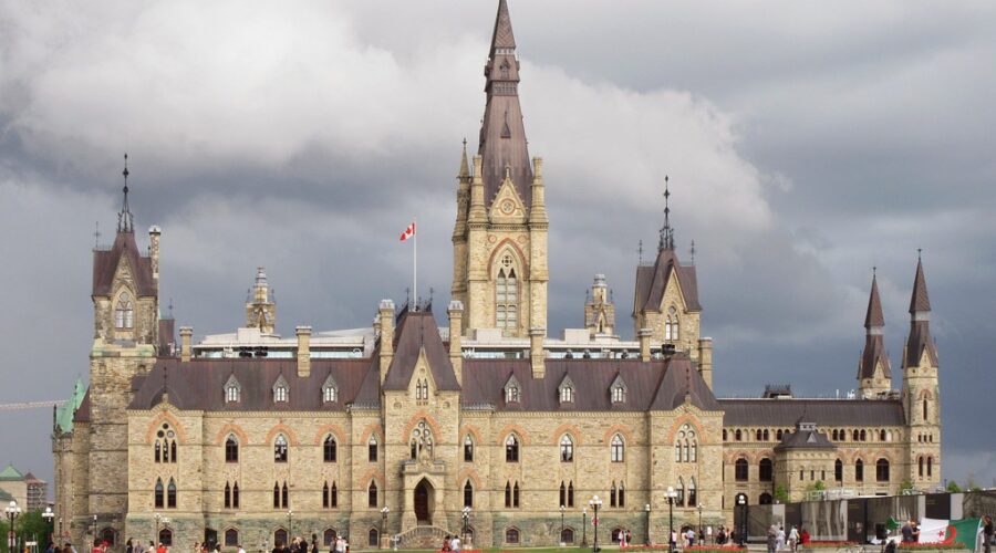 Eel fishing group says feds need to curb illegal elver fishing