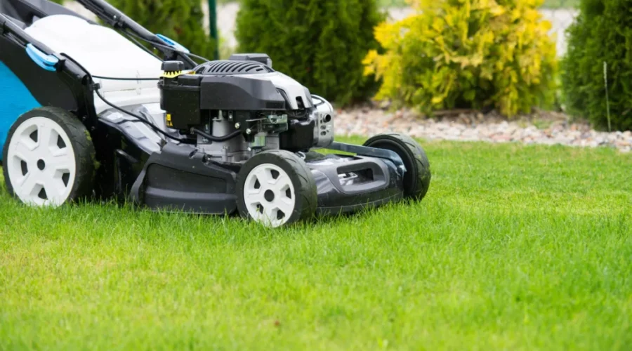 To Mow Or Not To Mow