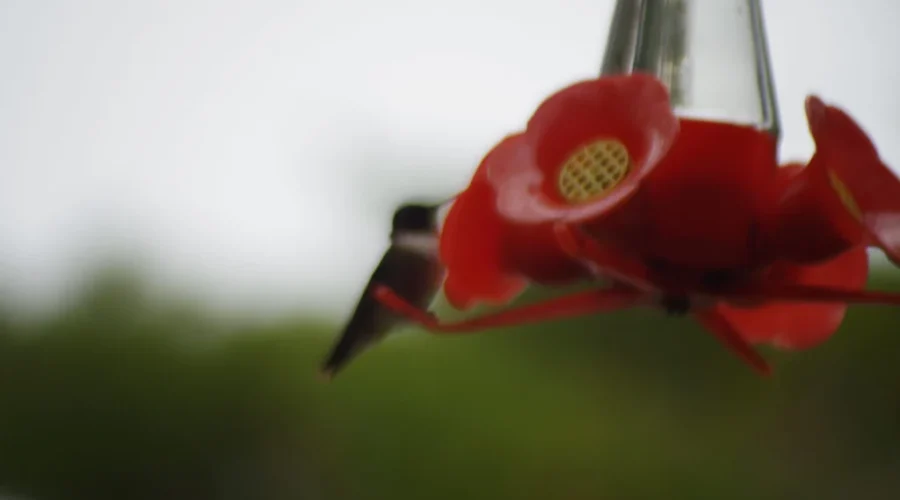 They’re On The Way