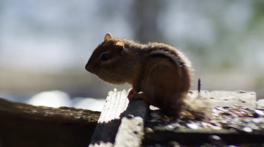 Turn That Off For A Bit