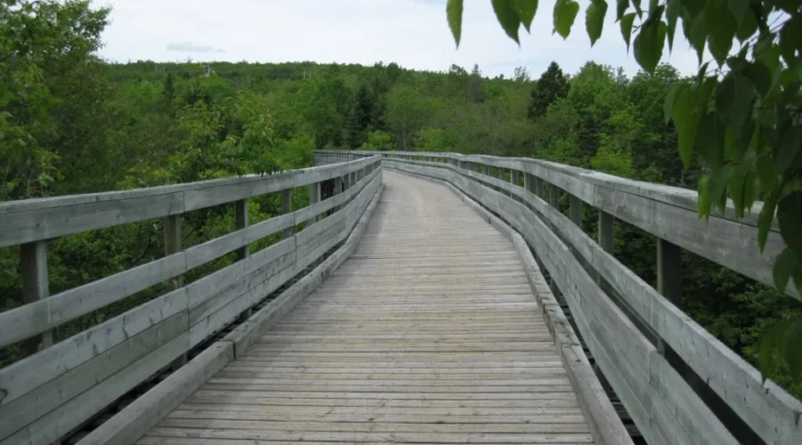 Gold River Trail Bridge set to be demolished
