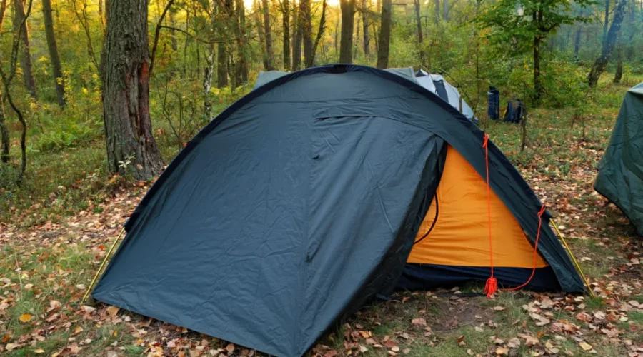 The Unofficial Start