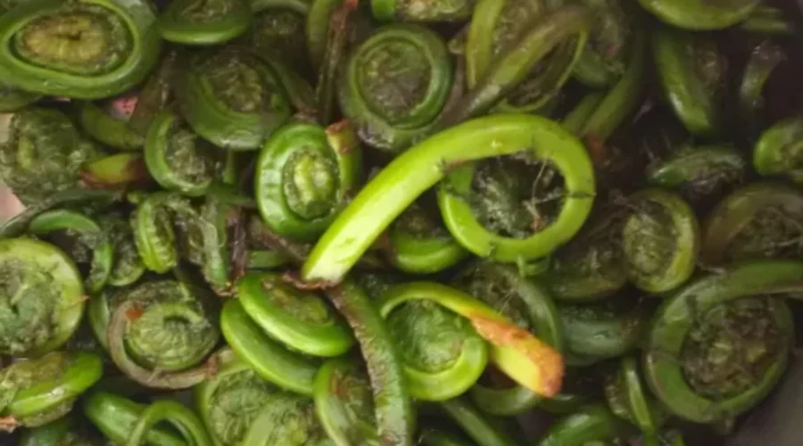 Checking Off Another Spring Ritual